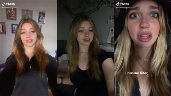 Unveiling The Truth Behind "Scarlett Spam On Tiktok Meet"